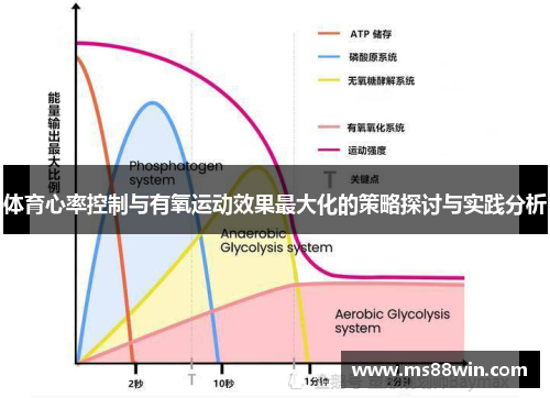 体育心率控制与有氧运动效果最大化的策略探讨与实践分析